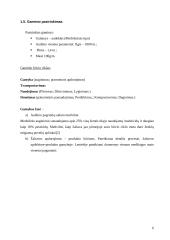 Gaminio ekologinis projektavimas 5 puslapis