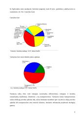 Gaminio ekologinis projektavimas 8 puslapis