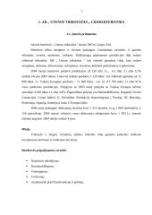 Įmonės kainodaros formavimas: AB "Utenos trikotažas" 2 puslapis
