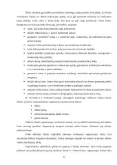 Įmonės kainodaros proceso analizė 13 puslapis