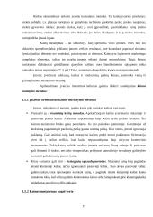 Įmonės kainodaros proceso analizė 17 puslapis