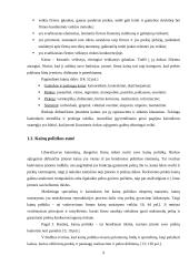 Įmonės kainodaros proceso analizė 9 puslapis