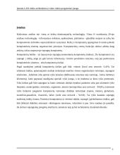 Įmonės LAN tinklo architektūra ir tokio tinklo programinė įranga 3 puslapis