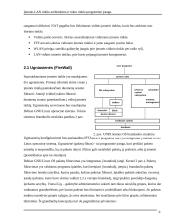 Įmonės LAN tinklo architektūra ir tokio tinklo programinė įranga 6 puslapis