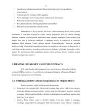 Informacinių technologijų panaudojimas biure 17 puslapis