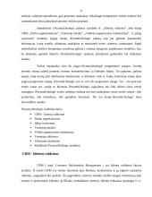 Informacinių technologijų panaudojimas biure 9 puslapis