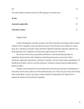 Išžaginimo, seksualinio prievartavimo ir privertimo lytiškai santykiauti normų santykis 3 puslapis