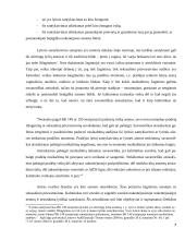 Išžaginimo, seksualinio prievartavimo ir privertimo lytiškai santykiauti normų santykis 7 puslapis