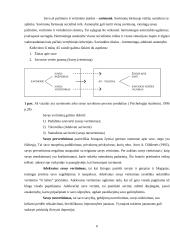 Jaunesniųjų paauglių savęs vertinimas 6 puslapis