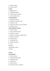 Jaunimo kavinės miltinio cecho darbo organizavimas 4 puslapis