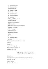 Jaunimo kavinės miltinio cecho darbo organizavimas 5 puslapis