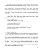 Juridinių asmenų rūšys ir jų steigimo ypatumai 12 puslapis