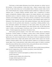 Juridinių asmenų rūšys ir jų steigimo ypatumai 13 puslapis