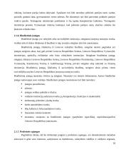 Juridinių asmenų rūšys ir jų steigimo ypatumai 18 puslapis