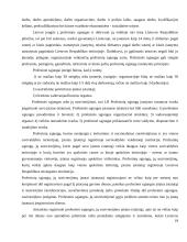 Juridinių asmenų rūšys ir jų steigimo ypatumai 19 puslapis