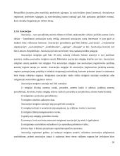 Juridinių asmenų rūšys ir jų steigimo ypatumai 20 puslapis