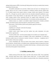 Juridinių asmenų rūšys ir jų steigimo ypatumai 4 puslapis