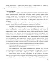 Juridinių asmenų rūšys ir jų steigimo ypatumai 10 puslapis