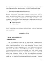 Kainodaros organizavimas UAB "ASF" 12 puslapis