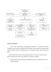 Kainodaros organizavimas UAB "ASF" 14 puslapis