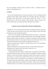 Kainodaros organizavimas UAB "ASF" 16 puslapis