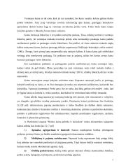 Kainodaros organizavimas UAB "ASF" 4 puslapis