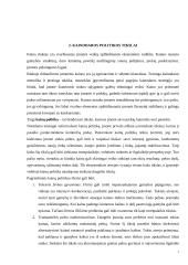 Kainodaros organizavimas UAB "ASF" 6 puslapis