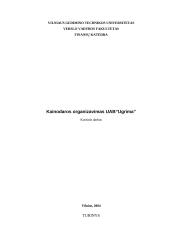 Kainodaros organizavimas UAB "Ugrima"