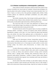 Kainodaros organizavimas UAB "Ugrima" 13 puslapis