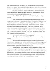 Kainodaros organizavimas UAB "Ugrima" 17 puslapis