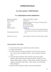 Kainodaros organizavimas UAB "Ugrima" 18 puslapis