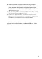 Kainodaros organizavimas UAB "Ugrima" 19 puslapis