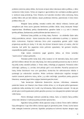 Kainodaros organizavimas UAB "Ugrima" 6 puslapis