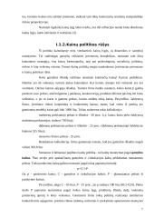 Kainodaros organizavimas UAB "Ugrima" 7 puslapis