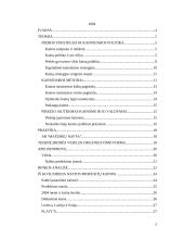 Kainodaros organizavimas: AB "Mažeikių nafta" 2 puslapis