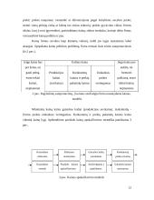 Kainodaros organizavimas: AB "Mažeikių nafta" 12 puslapis