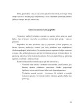 Kainodaros organizavimas: AB "Mažeikių nafta" 13 puslapis