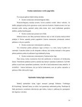 Kainodaros organizavimas: AB "Mažeikių nafta" 14 puslapis