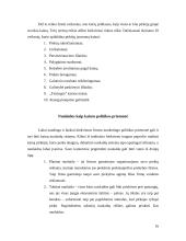 Kainodaros organizavimas: AB "Mažeikių nafta" 16 puslapis