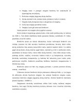 Kainodaros organizavimas: AB "Mažeikių nafta" 19 puslapis