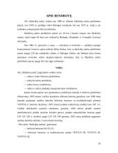 Kainodaros organizavimas: AB "Mažeikių nafta" 20 puslapis