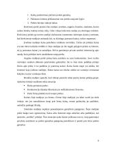 Kainodaros organizavimas: AB "Mažeikių nafta" 9 puslapis