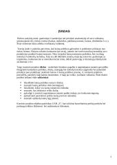 Kainodaros organizavimas: kanceliarinių prekių prekyba 2 puslapis