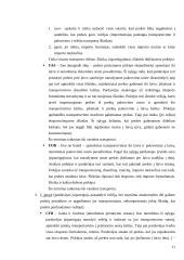 Kainodaros organizavimas: kanceliarinių prekių prekyba 11 puslapis