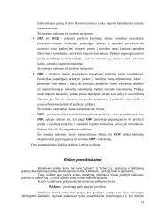 Kainodaros organizavimas: kanceliarinių prekių prekyba 13 puslapis