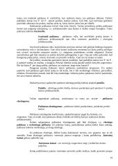 Kainodaros organizavimas: kanceliarinių prekių prekyba 14 puslapis