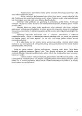 Kainodaros organizavimas: kanceliarinių prekių prekyba 17 puslapis