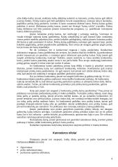 Kainodaros organizavimas: kanceliarinių prekių prekyba 4 puslapis