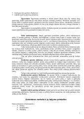 Kainodaros organizavimas: kanceliarinių prekių prekyba 5 puslapis