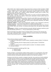 Kainodaros organizavimas: kanceliarinių prekių prekyba 6 puslapis